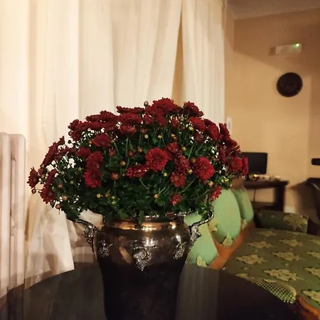 Dimora Marella - Frosinone Hotel Patrica
