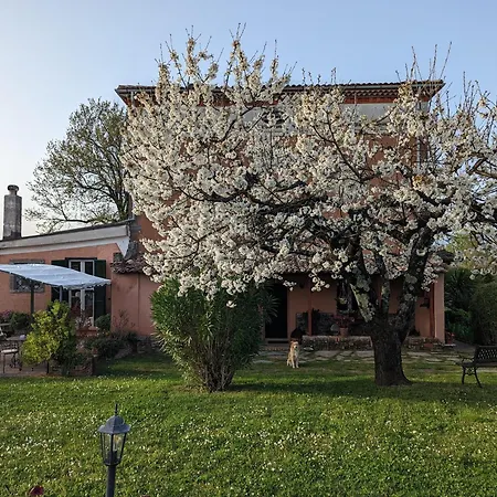 Dimora Marella - Frosinone Hotel *